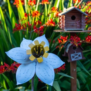 Daffodil Stake