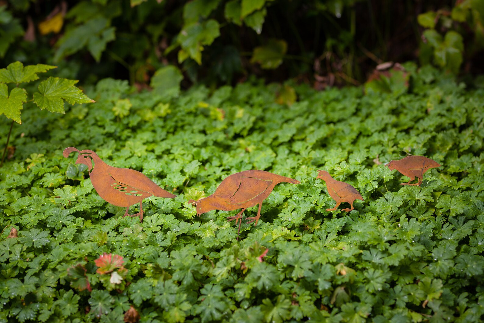 Metal Quail Garden Stakes Quail Family Silhouettes Rusted Etsy