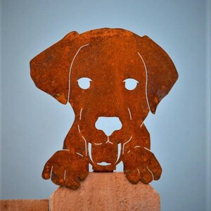 Dog Face | Metal Dog Art | Whimsical dog decor | Labrador Gifts | Labrador Retriever | Dog Lover Gift | Dog Yard Art | Metal Yard Art | A222