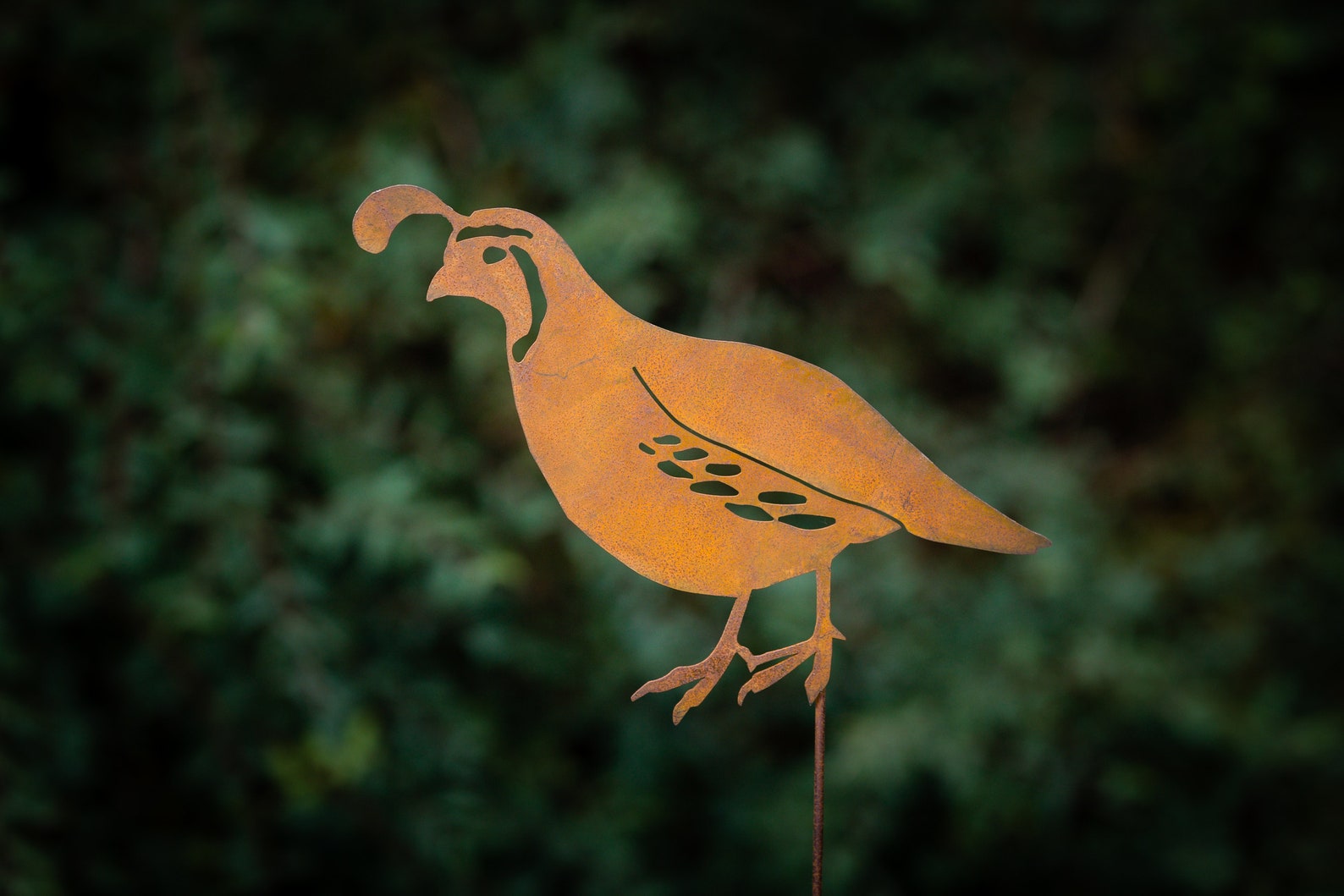 Metal Quail Garden Stake Quail Bird Silhouette Southwest Etsy