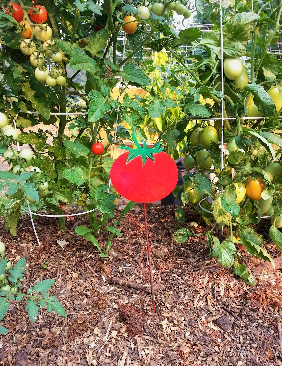 Tomato Vegetable Garden Stake Vegetable Garden Marker Etsy