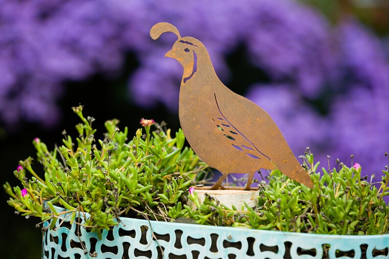 Metal Quail Garden Art Metal Quail Silhouette Rusted Metal Etsy