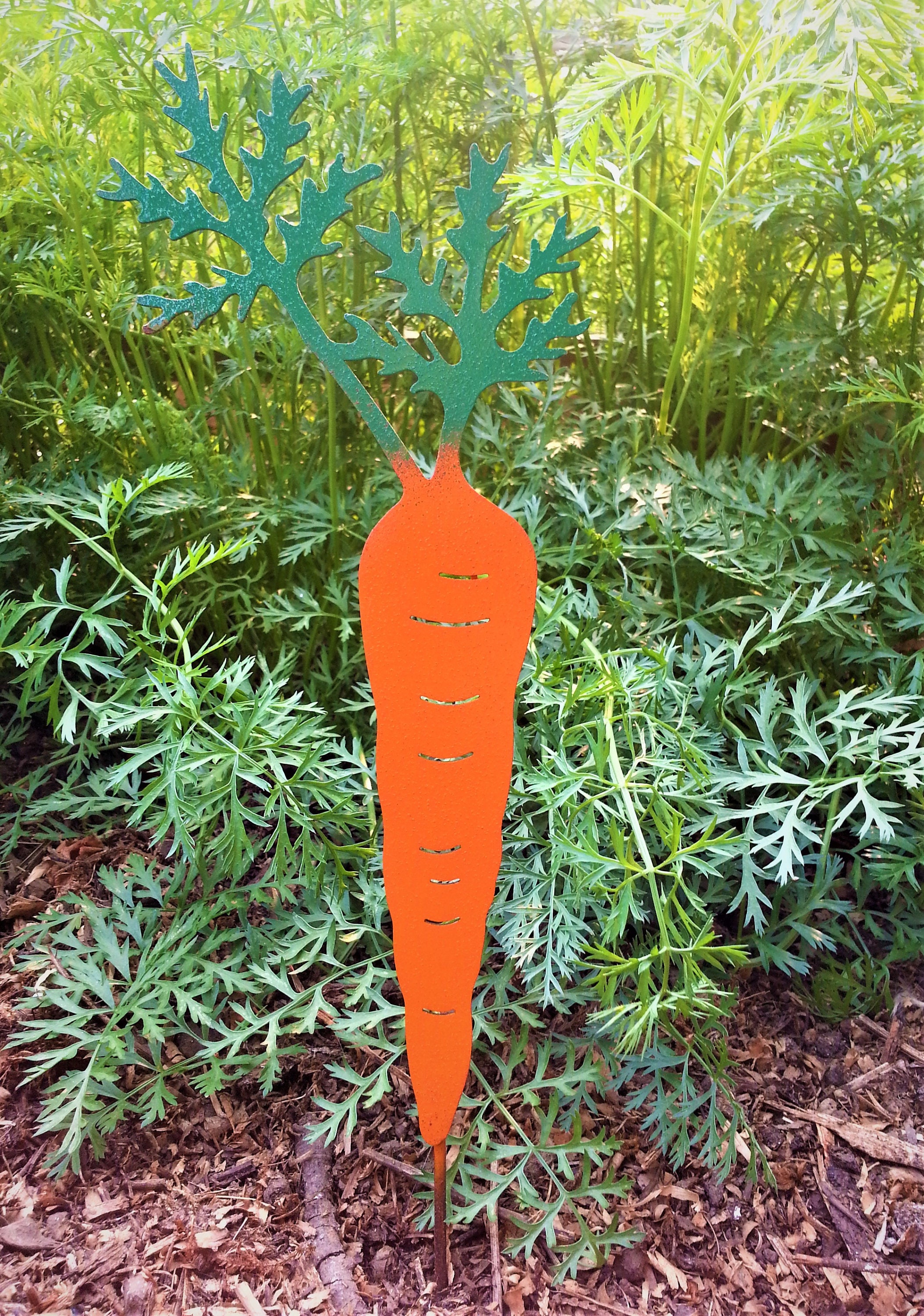 Carrot Vegetable Garden Stake Vegetable Garden Marker Farm to Table