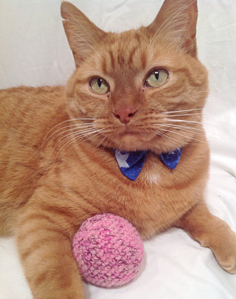 cat toys etsy
