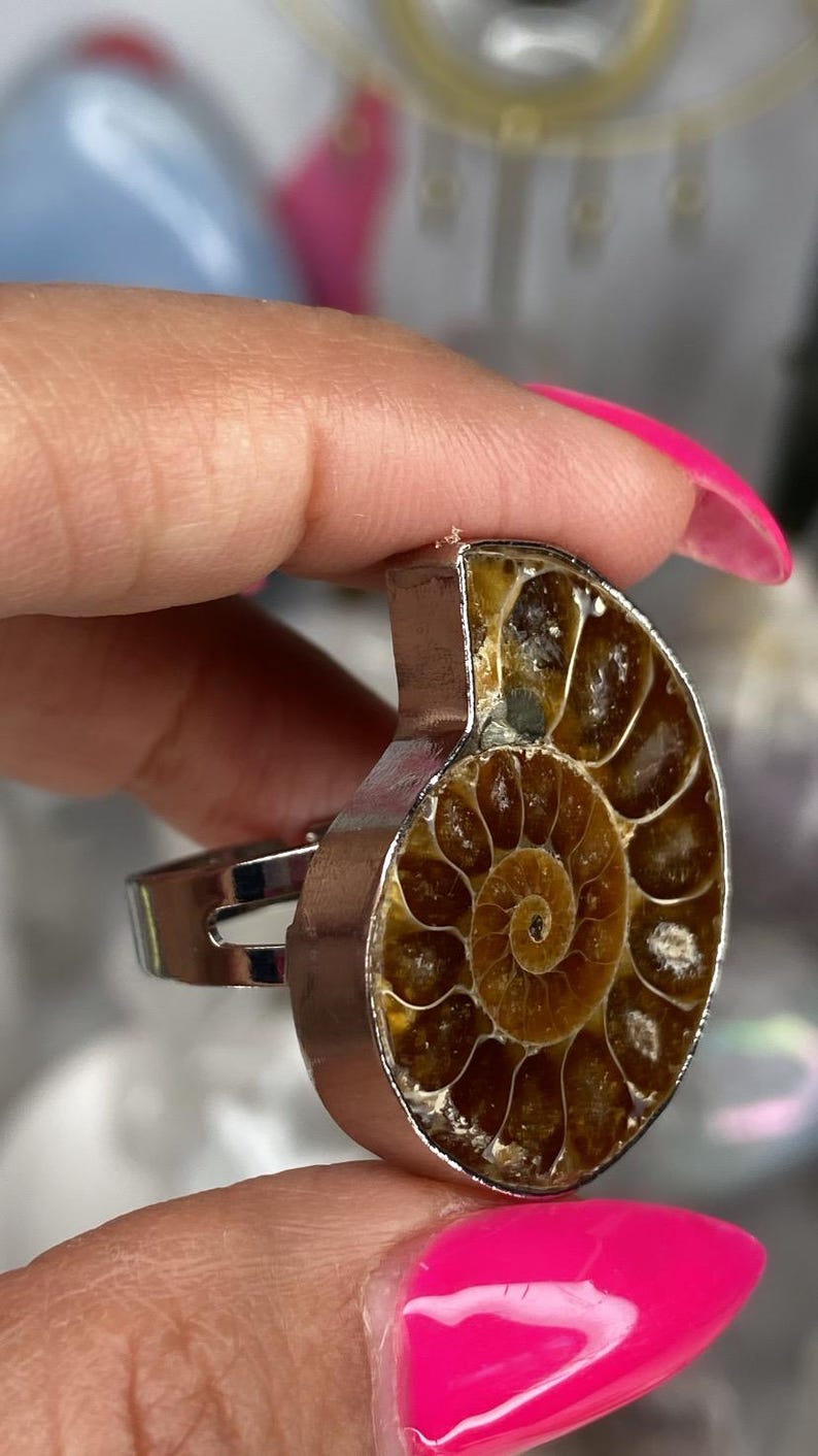May include: A silver ring with a brown and white ammonite fossil set in the center. The ammonite has a spiral shape with a dark brown center and lighter brown outer edges.
