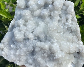 May include: A large, irregular-shaped, light gray crystal cluster. The surface is covered in small, sparkling crystal formations. The background features green foliage. The crystal is held by a hand.