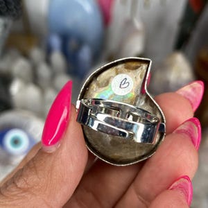 May include: A silver ring with a large iridescent ammonite stone. The stone is a light brown color with a pearly sheen. The ring is adjustable and has a simple design.