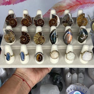 May include: A display of 18 rings with various gemstone and fossil inlays. The rings are arranged on a white display stand with three tiers. The rings feature a variety of colors, including brown, white, blue, and green.