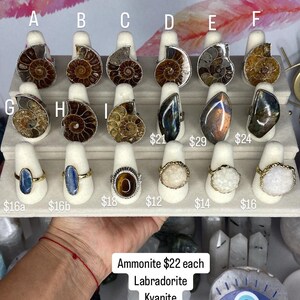 May include: Assortment of rings featuring various gemstones and fossils, including ammonite, labradorite, kyanite, tiger's eye, and druzy agate. The rings are displayed on a white stand with price tags.