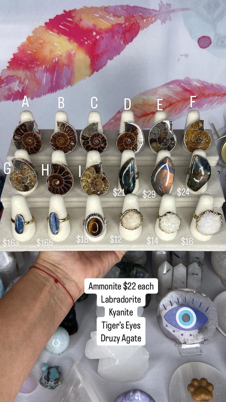 May include: Assortment of rings featuring various gemstones and fossils, including ammonite, labradorite, kyanite, tiger's eye, and druzy agate. The rings are displayed on a white stand with price tags.