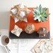 Sacred Geometry Model Kit, 3 Small Orbs, A unique Gift of Geometric Design, Lasercut Ornaments, Architect's Design