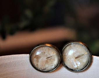 Birch bark cabochon stud earrings