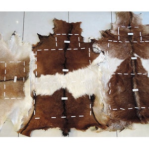 May include: Three brown and white animal hides with white stitching marking out sections. The hides are laid out on a tiled floor.
