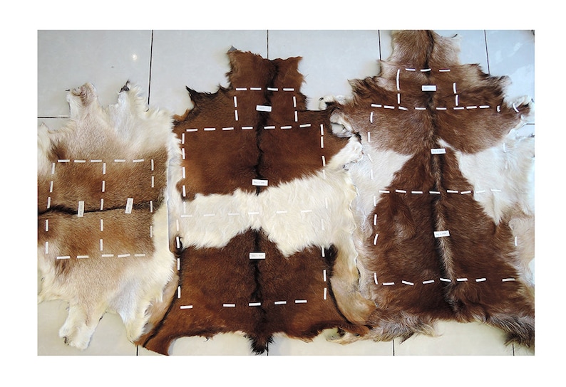 May include: Three brown and white animal hides with white stitching marking out sections. The hides are laid out on a tiled floor.