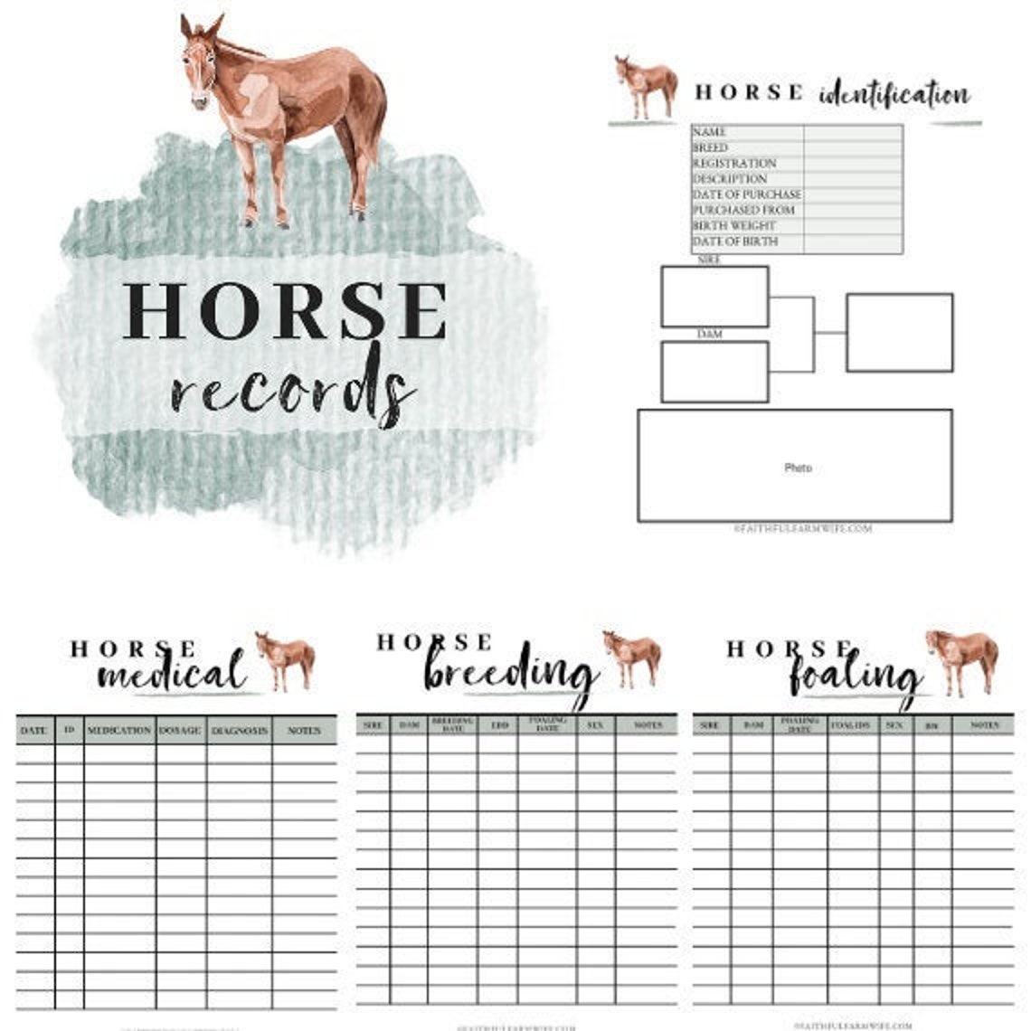 Horse Record Book | Etsy