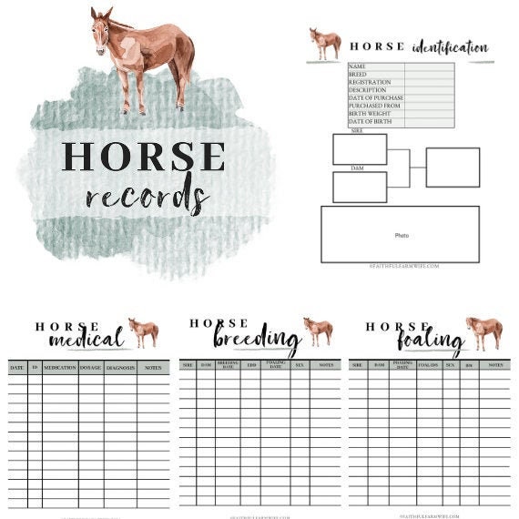 Horse Record Book Etsy