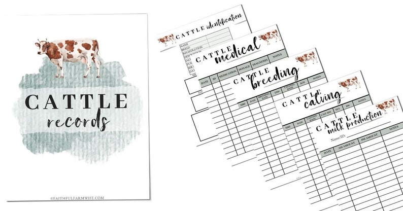 Cattle Record Book Etsy