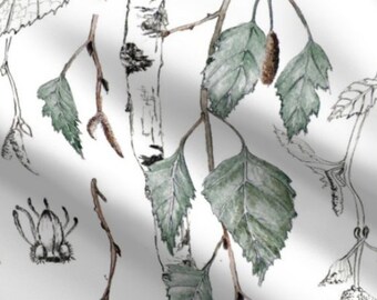 May include: A watercolor illustration of birch tree branches with leaves and buds. The branches are depicted in shades of brown and black, while the leaves are a light green color. The background is white.
