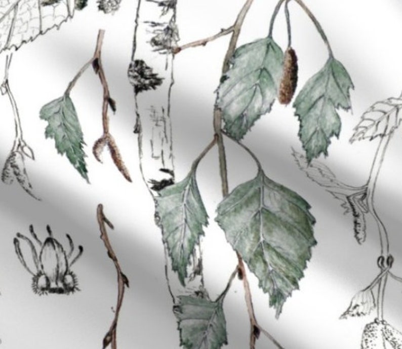 Watercolor Sketch White Birches Organic Betula Pendula Drapery Curtain One Panel Leaves Silver Birch Blackout lining available
