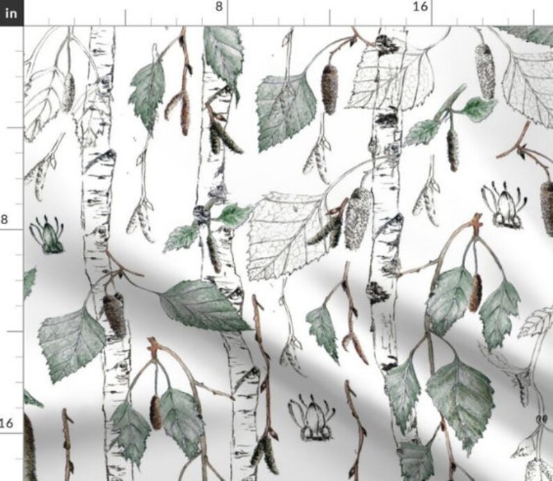 Watercolor Sketch White Birches Organic Betula Pendula Drapery Curtain One Panel Leaves Silver Birch Blackout lining available