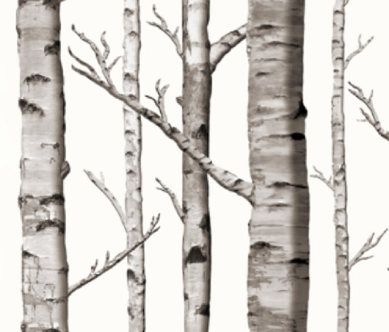 Organic White Birch Tree Dry One Curtain Panel Blackout Image 0