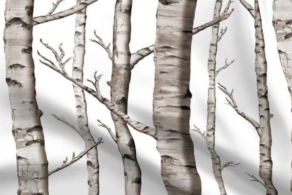 One 1 Curtain Panel White Birch Tree Dry One 1 Curtain Panel White Birch Tree, Birch Tree Curtains