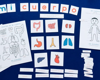 Spanish English | Inside My Body Anatomy | Homeschool | Montessori Learning resource