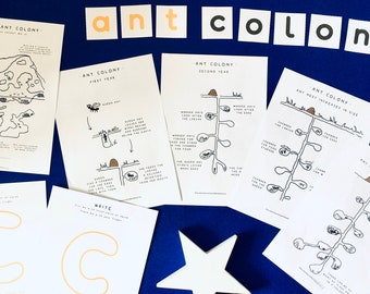 Ant Colony Anatomy | Home education printable | Insect study | Montessori | Waldorf | Learning resource