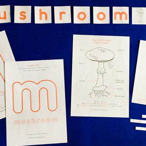 Mushroom Anatomy | Mushroom printable | Homeschool | Home Education | Learning | Montessori