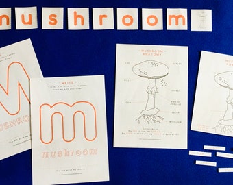 Mushroom Anatomy | Mushroom printable | Homeschool | Home Education | Learning | Montessori