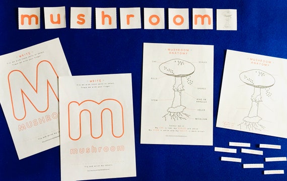 Mushroom Anatomy Mushroom Printable Homeschool Home - Etsy