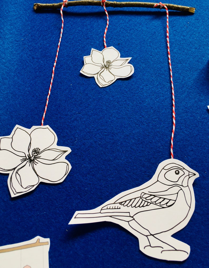 Download Bird Anatomy Bird Colouring In Printable Home Schooling | Etsy