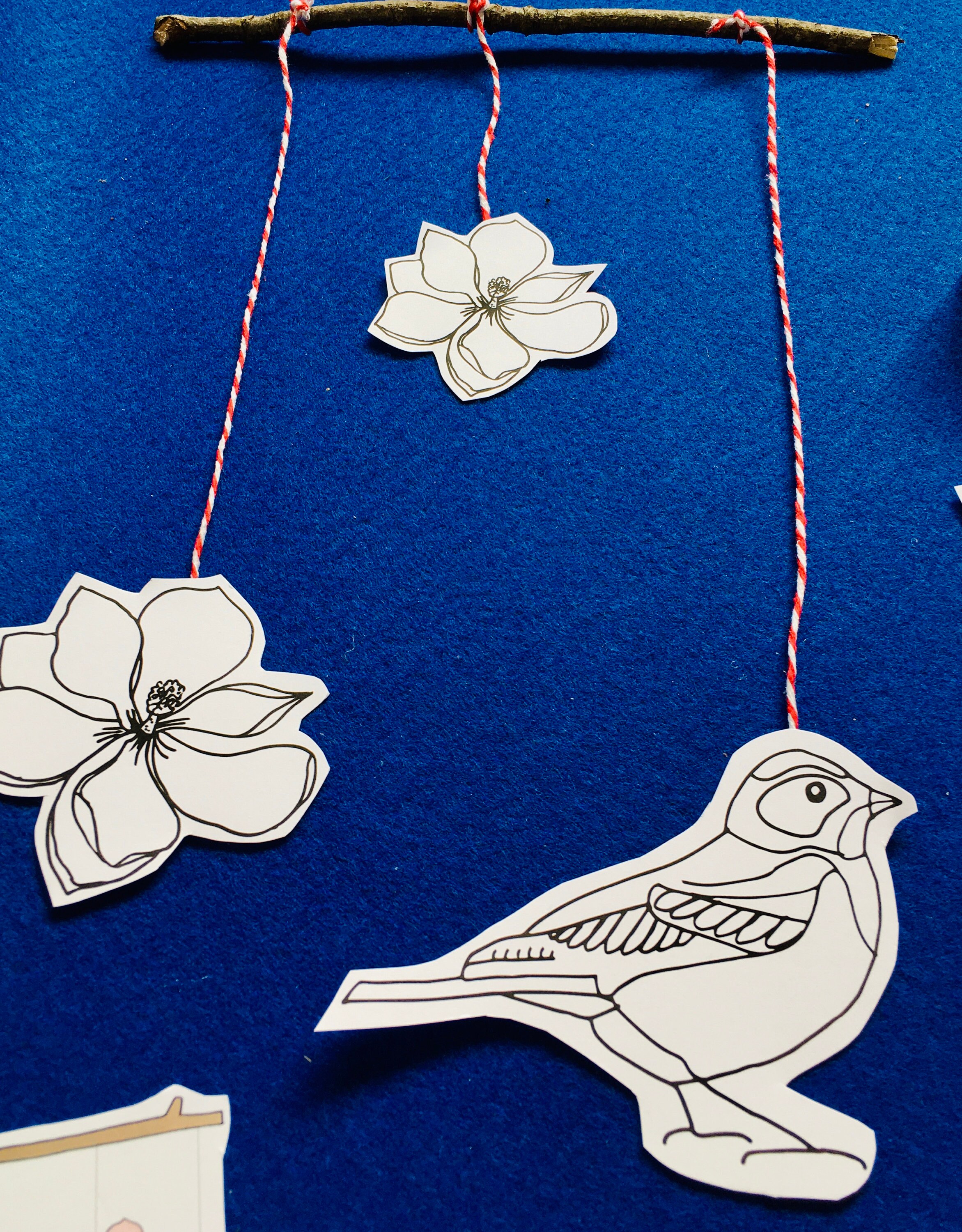 Bird Anatomy Bird Colouring in Printable Home Schooling - Etsy