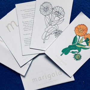 Wildflowers cards learning resource image 7