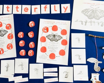 Caterpillar lifecycle printable