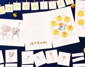 Dandelions | Dandelion Home School Printable | Education | Learning Resource