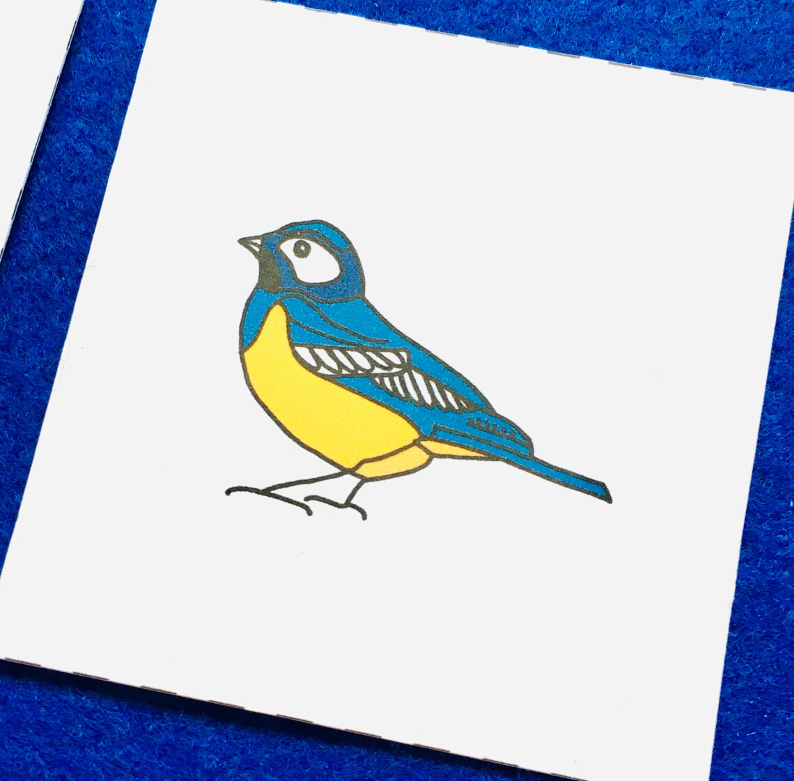 Bird Anatomy Bird Colouring in Printable Home Schooling - Etsy