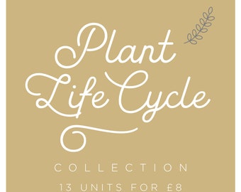 Plant Life Cycle Collection