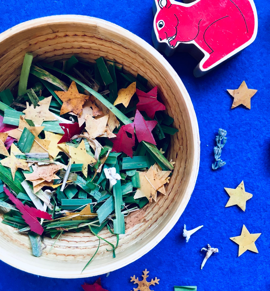 Eco Friendly Reindeer Food Homeschool Etsy