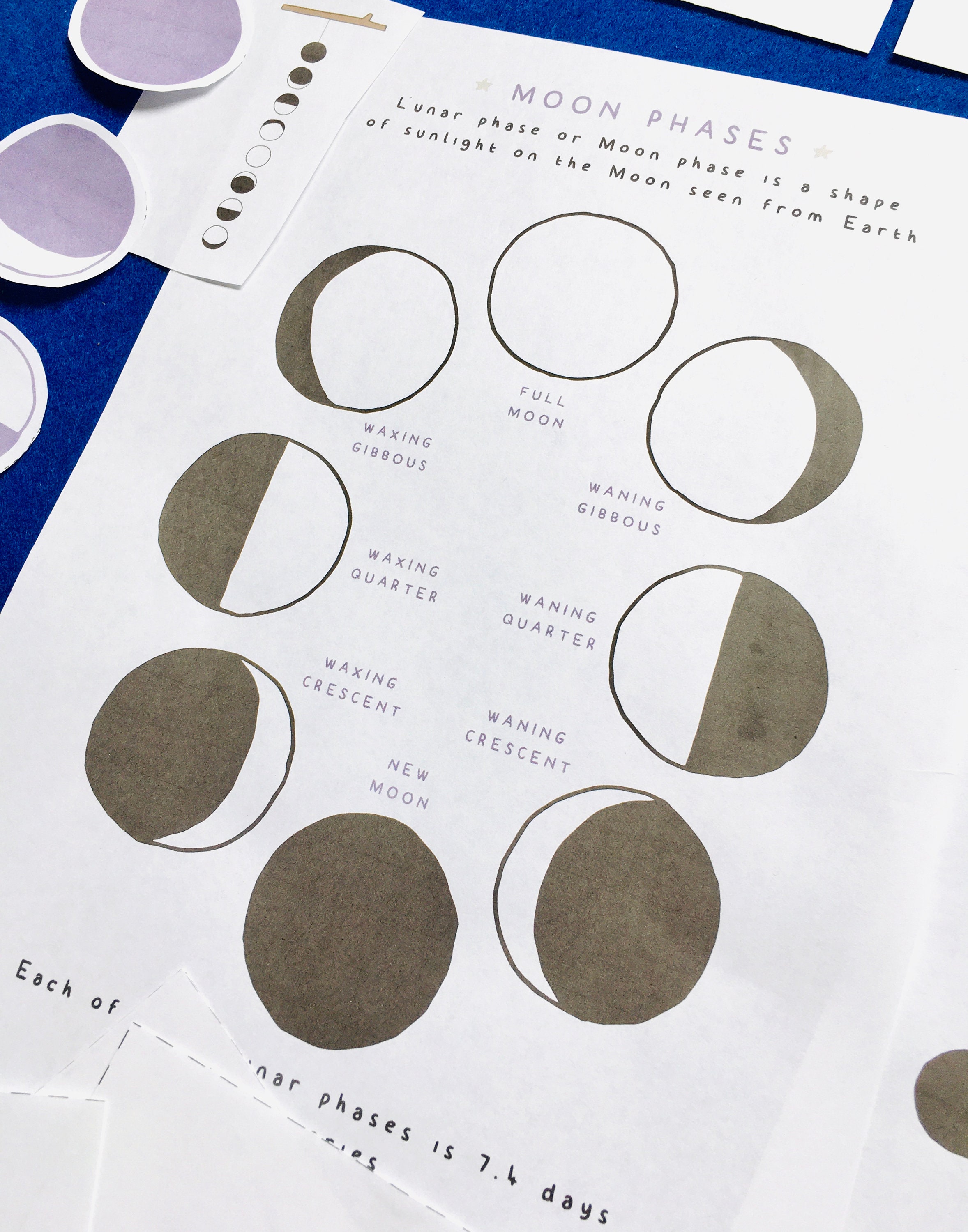 Moon Phases Lunar Phases Homeschool Printables Waldorf | Etsy