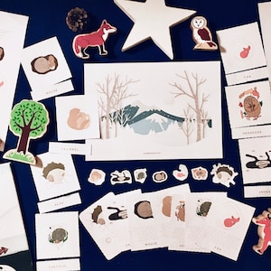 Winter Animals | Hibernation | Home education printable