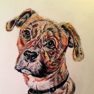 Custom Pet Portrait in Color