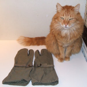 May include: A pair of green, split-toe mittens with elastic cuffs. The mittens are made of a thick, durable fabric and have a strap with a buckle on each side. A ginger cat is sitting on a white surface behind the mittens.