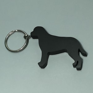 Labrador Keychain - Recycled Materials - Stainless Steel Keychain