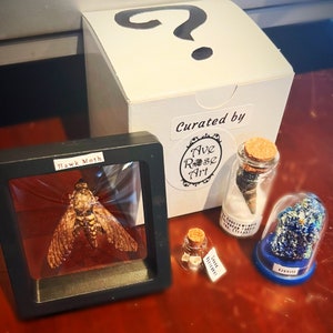 Oddity Mystery Box image 4