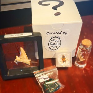 Oddity Mystery Box image 5