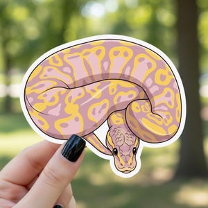 May include: A sticker featuring a coiled snake with a pink and yellow pattern. The snake has a detailed design with a white border. The sticker is held against a blurred green background.