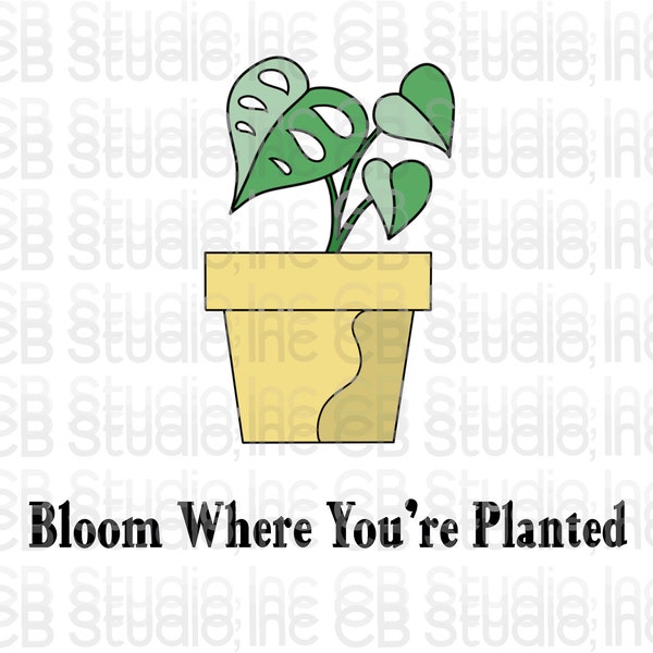 Targa In Metallo Vintage 'Bloom Where You're Planted' - 20x30 Cm - Decorazione Da Parete Retrò Per Casa, Bar E Ufficio - 2