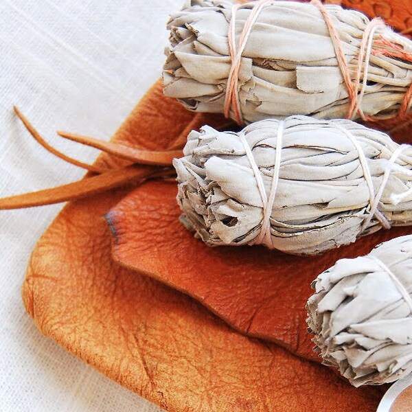 White Sage Bundle - Sacred Herbs for Clearing, Cleansing, Spiritual Rituals - Smudge Stick