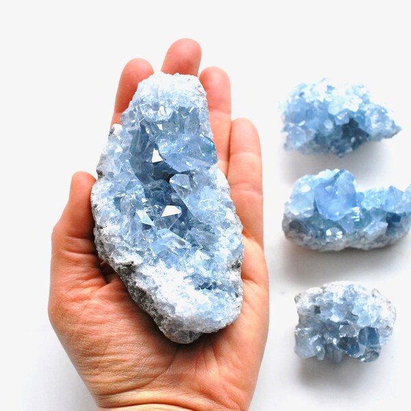 Raw Celestite Geode Crystal - Blue Geode for Dream Recall, Aura Clearing, Purity, and Inner Peace ECEL05